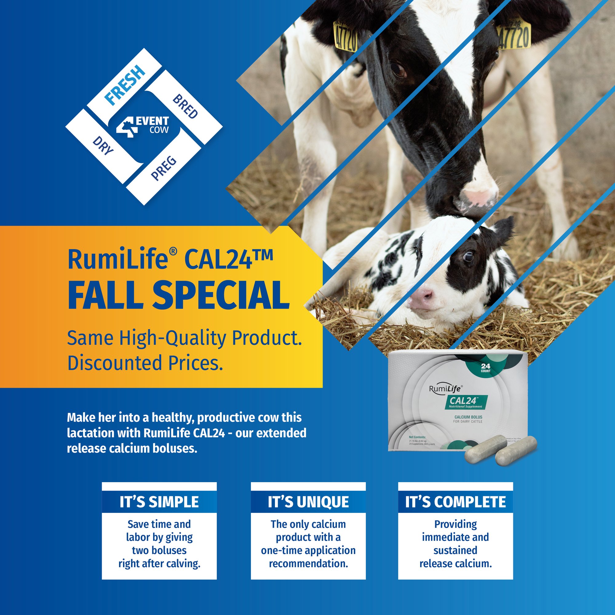 2024-09 CAL24 Fall Special 5x5_Color-1 2024-09 CAL24 Fall Special 5x5_Color-1
