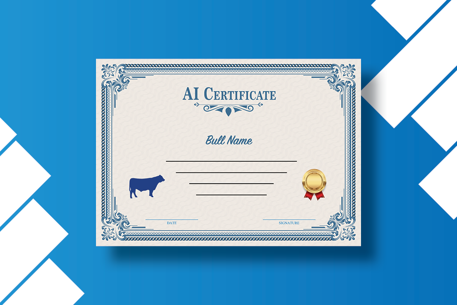 Certificados de carne de vacuno