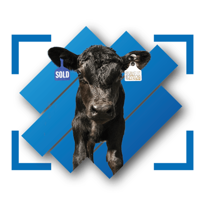 FeedWise ONYX Header
