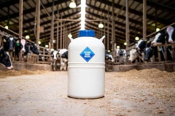 Your genetic decision today IS your future herd